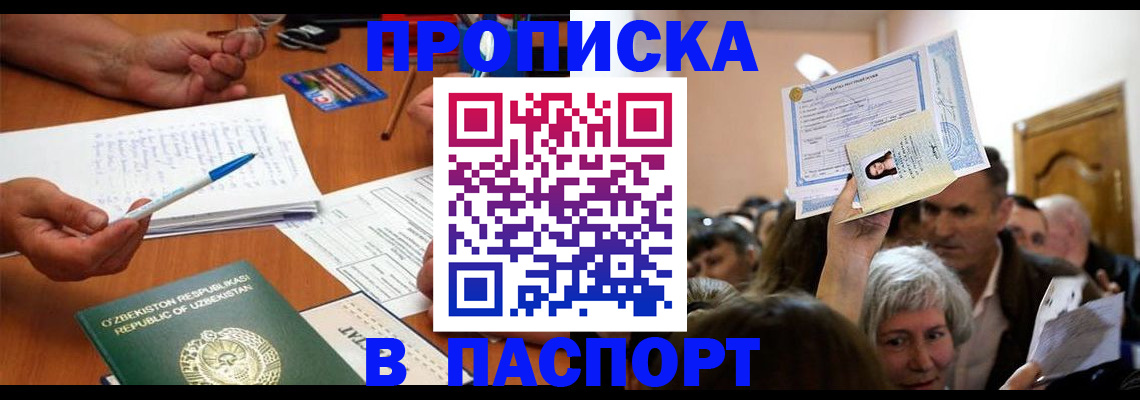 где прописаться в Нелидово